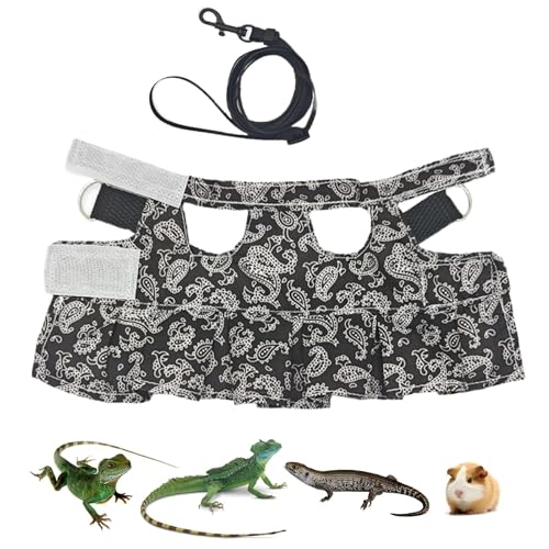 Reptile LIZARD CARCHE, IMMABLE KLEINE LIZARDA - Amphibien-Vektoren, weiches Zubehör für Reptilieneidechsen Amphibian für Eidechsen, Leguana Chameleons von Dinchaakuarry
