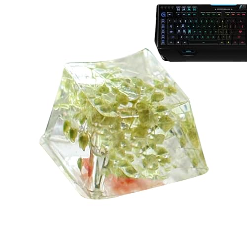 gamng-Tastenkappen, Mechanische Harz-Tastenkappen, Individuelle Tastatur-Tastenkappen, Tipp-Tastenkappen, Durchscheinende gamng-Tastenkappen, Harz, gamng-Tastenkappen, Gypsophila-Tastenkappen-Set, von Dinchaakuarry