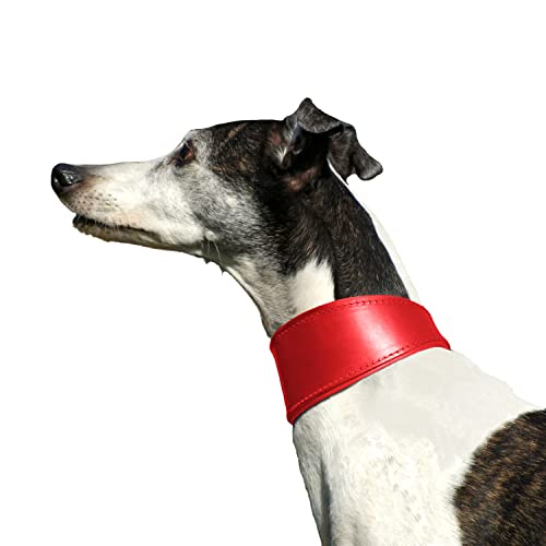 Dingo Halsband Leder Whippet von Dingo Waldemar Rutkowski