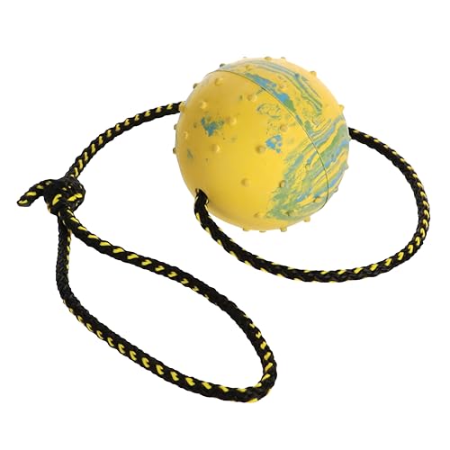 Dingo Hundeball – vollständig mit Gummi gefüllt, mit Glocke und 60 cm langem Seil – geeignet zum Apportieren, Hundesport, Agility, Spielen – mittlere Größe – zufällige Farbe (17280-2) von Dingo Waldemar Rutkowski