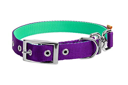 Dingo 14250 Hundehalsband, zweiseitig, Violett oder Mint, 2 Halsbänder in 1, wendbar von Dingo Waldemar Rutkowski