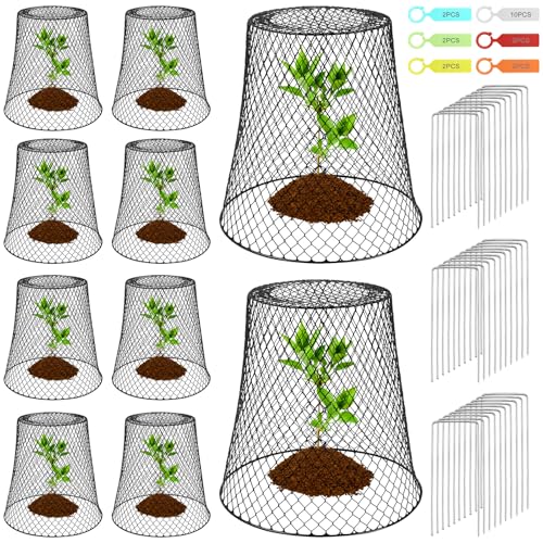 Dinhauyon Pflanzglocke Metall, 10 Stück Pflanzenschutzgitter,Drahtnetz Pflanzenschutz mit 30 U-Stöcken und 20 Etiketten zum Schutz der Pflanzen vor Hühnern, Kaninchen, Eichhörnchen und Vögeln Dinhauyon Pflanzglocke Metall, 10 Stück Pflanzenschutzgitter,Drahtnetz Pflanzenschutz mit 30 U-Stöcken und 20 Etiketten zum Schutz der Pflanzen vor Hühnern, Kaninchen, Eichhörnchen und Vögeln von Dinhauyon