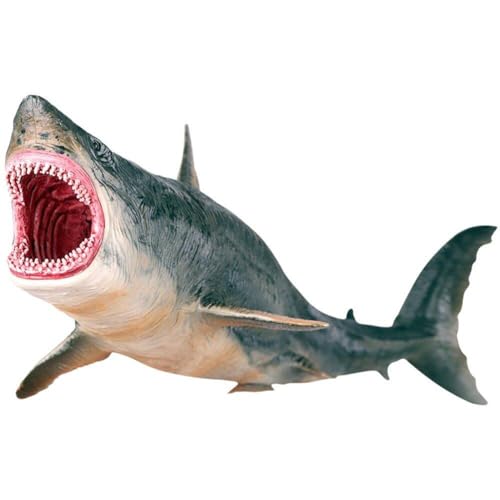 Dinntty Modell Megalodon Shark Sealife Collection Figur Naturgetreue & Hochdetaillierte Hohle Megalodon Figur Geschenk Für Jungen, Mädchen von Dinntty