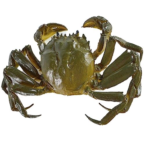 Künstliche Krabbe Ornament Simulation Krabbe Modell Lebensechte Ozean Meer Tier Modell Gefälschte Meeresfrüchte Aquatische Form Display Prop von Dinntty