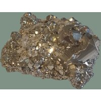 Echtes Katzengold Pyrit Kristall von DinoshopNerdstuff