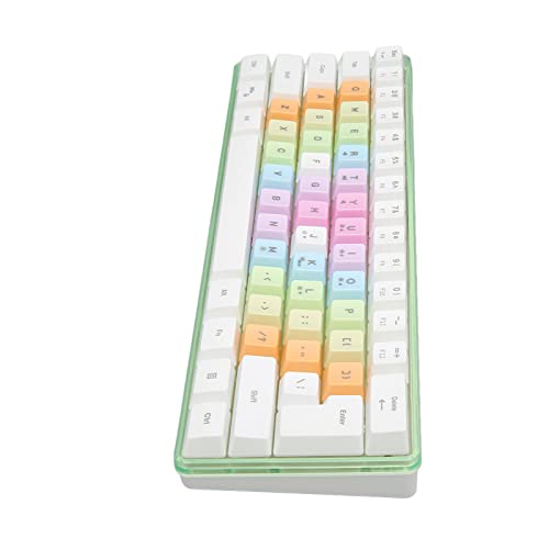 Dioche 60% Tastatur Slimhanical Keyboard Abs 61 Keyshanical Keyboard RGB Backlight Colorful Keycaps Wiredhanical Keyboard for Gaming Office Work (Weiß) von Dioche