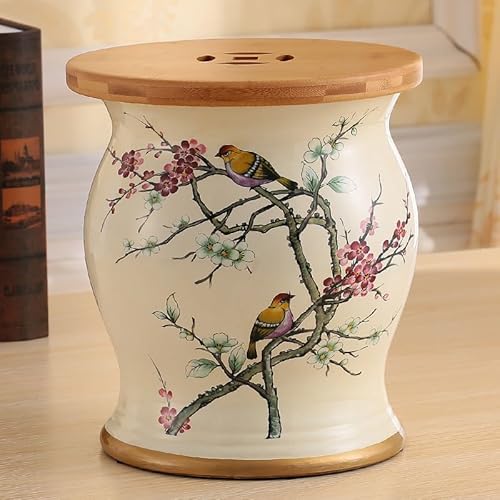 Diodceraic Chinesischer keramischer Trommelhocker - Dekorativer Gartenhocker Handgemalter glasierter Gartensitz für Innen- und Außenterrasse, Gartendekoration(A) von Diodceraic