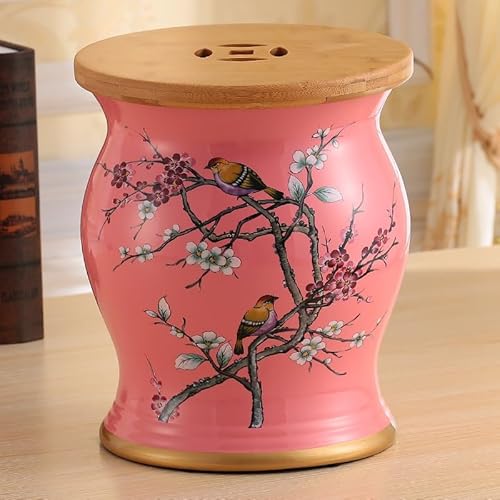 Diodceraic Chinesischer keramischer Trommelhocker - Dekorativer Gartenhocker Handgemalter glasierter Gartensitz für Innen- und Außenterrasse, Gartendekoration(C) von Diodceraic