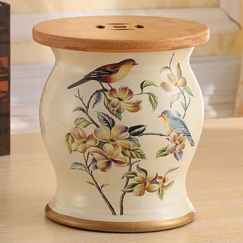 Diodceraic Chinesischer keramischer Trommelhocker - Dekorativer Gartenhocker Handgemalter glasierter Gartensitz für Innen- und Außenterrasse, Gartendekoration(F) von Diodceraic