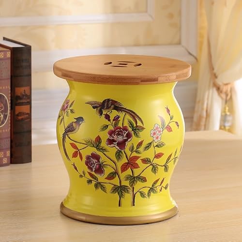 Diodceraic Chinesischer keramischer Trommelhocker - Dekorativer Gartenhocker Handgemalter glasierter Gartensitz für Innen- und Außenterrasse, Gartendekoration(P) von Diodceraic