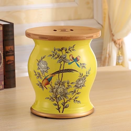 Diodceraic Chinesischer keramischer Trommelhocker - Dekorativer Gartenhocker Handgemalter glasierter Gartensitz für Innen- und Außenterrasse, Gartendekoration(T) von Diodceraic