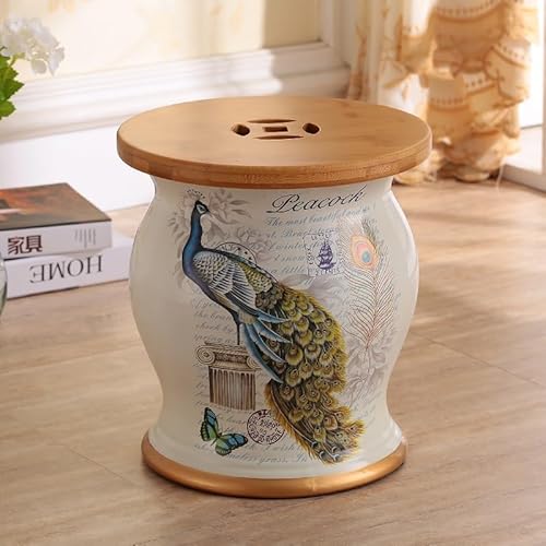 Diodceraic Chinesischer keramischer Trommelhocker - Dekorativer Gartenhocker Handgemalter glasierter Gartensitz für Innen- und Außenterrasse, Gartendekoration(Y) von Diodceraic