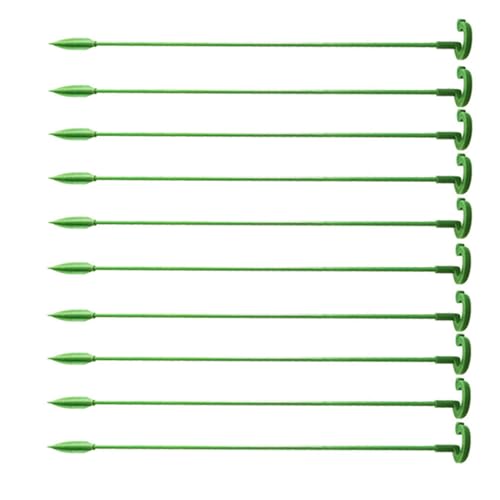 10 Stück vertikale Pflanzenstecker Garten für Tomaten, Bohnen, Blumen, Topf- und Kletterpflanzen 10 Stück vertikale Pflanzenstecker Garten für Tomaten, Bohnen, Blumen, Topf- und Kletterpflanzen von Diogeynu