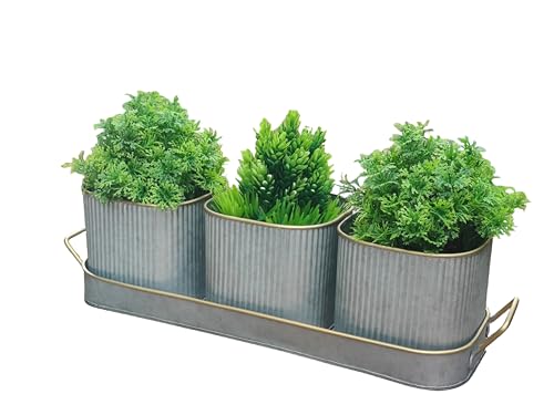 Dipamkar Set mit 3 verzinkten Kräutertöpfen für Fensterbank, Metall, Kräuterpflanzgefäße mit Untersetzer, für Küche, Fenster, Innen- und Außenbereich Dipamkar Set mit 3 verzinkten Kräutertöpfen für Fensterbank, Metall, Kräuterpflanzgefäße mit Untersetzer, für Küche, Fenster, Innen- und Außenbereich von Dipamkar