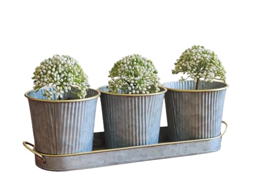 Dipamkar Set mit 3 verzinkten Metall-Pflanzgefäßen für Fensterbank, Kräutertöpfe, Küche, Garten, Pflanztöpfe mit Tablett für drinnen und draußen von Dipamkar