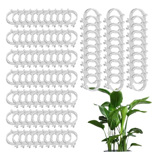 Dirfuny Pflanzenclips für den Garten, kleine Pflanzen-Befestigungsclips, Tomaten-Clips, Weinrebe, Tomaten-Rebe, Gartenclips für Tomaten, Gurken, Trauben, Gemüsepflanzen von Dirfuny
