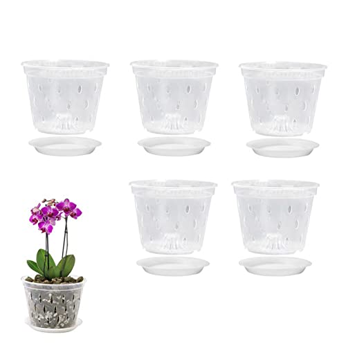 Dirfuny Transparente Orchideentöpfe – 14 cm geschlitzte Orchideentöpfe mit Löchern und Untertassen – 5 Stück von Dirfuny