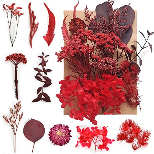 Disnace Natürliche Getrocknete Blumen, Blumen Natürliche Gemischte, DIY Natürliche Trockenblumen Set für Kunst Basteln DIY Epoxidharz Formen, Scrapbook Zubehör Karten Machen (Rot) von Disnace