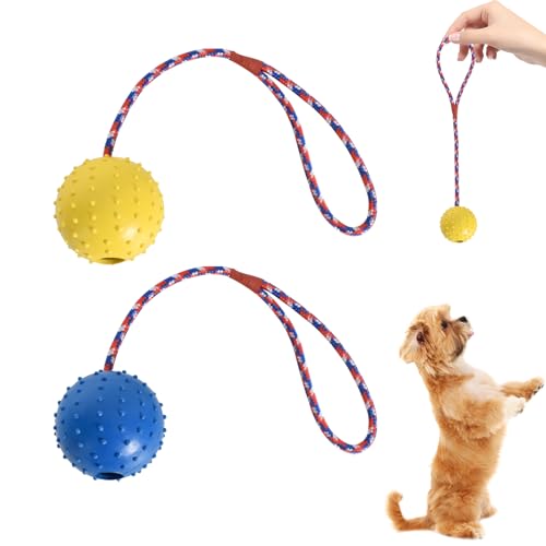 Naturgummiball Seil,Ball Mit Seil Hundespielzeug-Gelb & Blau - Empfindliche Farben Für Hunde,Ball Mit Seil Welpe,Wurfball Hund,Ball Mit Schnur Hund,Welpenspielzeug Hund,Haustier Ball (ø 5 X 30) von Disnace