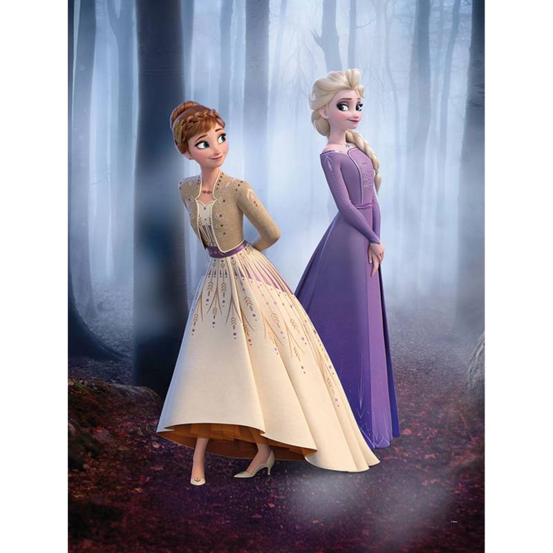 Disney Poster Die Eiskönigin Multicolor 30 x 40 cm 610140 von Disney