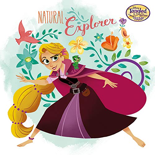 Disney Tangled: The Series Natural Explorer 40 x 40cm Canvas Print Leinwanddruck, Mehrfarbig, 40 x 40 cm von Disney