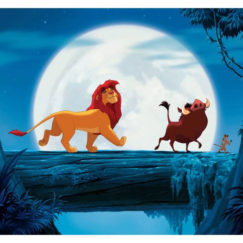 Fototapete Vlies Disney Hakuna Matata 300 cm x 280 cm von Disney