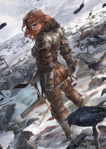 Displate – Metallposter - Magnet-Montage - The Elder Scrolls - The Elder Scrolls: Legends Avatars - Female Nord - Größe M - 32x45cm von Displate