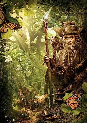 Displate - Poster aus Metall - Einfache Montage ohne Bohren - Middle-Earth - The Hobbit: An Unexpected Journey - Radagast the Brown - Größe L - 67,5x48cm Matt von Displate