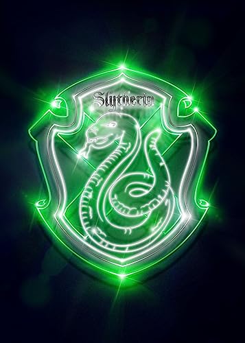 Displate - Poster aus Metall - Einfache Montage ohne Bohren - Wizarding World - Neon House Crests - Slytherin Neon Emblem - Größe M - 32x45cm Matt von Displate