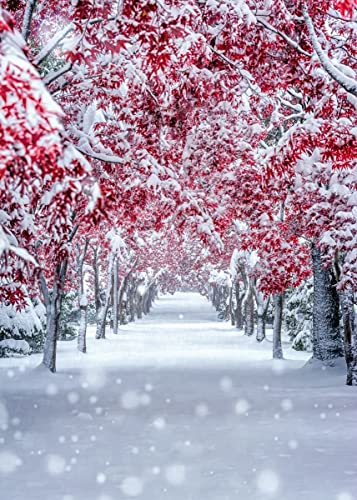 Displate - Poster aus Metall - Magnet-Montage - World Class Photos - Japan - Snowy Maples 67.5 cm x 48 cm von Displate