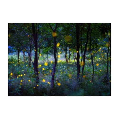 Displate - Poster aus Metall - Magnet-Montage - World Class Photos - Landscapes - Magic fireflies 45 cm x 32 cm von Displate