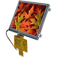 Display Elektronik Grafik-Display Weiß 320 x 240 Pixel (B x H x T) 141.12 x 101.55 x 8.0mm von Display Elektronik