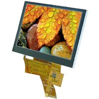 Display Elektronik Grafik-Display Weiß 800 x 480 Pixel (B x H x T) 120.70 x 75.80 x 4.475mm von Display Elektronik
