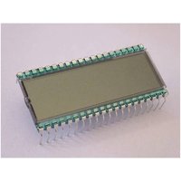 Display Elektronik LCD-Display DE151RS-20/7.5 Display Elektronik LCD-Display DE151RS-20/7.5 von Display Elektronik