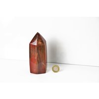 2 Fossiles Holzprisma - Versteinertes Holz Madagaskar von DistinctionCrystals