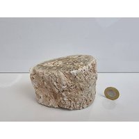 21 Fossiles Holz Ast/stump - Versteinert von DistinctionCrystals