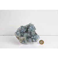 43 Celestite Kristall/Celestine Natürlichen Cluster von DistinctionCrystals
