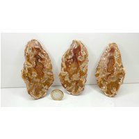 47 Fossile Holzscheiben Set - Versteinertes Holz Madagaskar von DistinctionCrystals