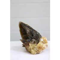 5 Extra Großer Hundezahn Calcit Kristall Mineral Aus Marokko 953G von DistinctionCrystals