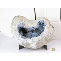 66 Xl Große Celestit Kristall Premium Geode 23, 85 Kg von DistinctionCrystals