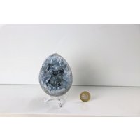 8 Celestite Kristallei von DistinctionCrystals