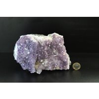 Am56 Amethyst Kristall Cluster von DistinctionCrystals