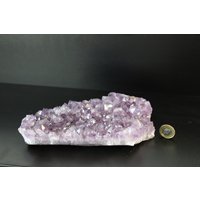 Am65 Amethyst Kristall Cluster von DistinctionCrystals