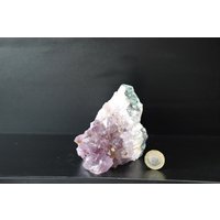 Amf14 Amethyst Kristall Natur Geode Freistehend von DistinctionCrystals