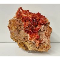 Großer Vanadinit Kristall Marokko von DistinctionCrystals