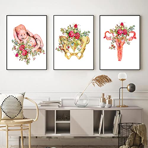 Schwangerschafts-Kunstdruck Neugeborene weibliche Gebärmutter Becken und Blumen Leinwandposter Medizinische Dekorationsbilder Baby-Hebamme 15,7 Zoll x 23,6 Zoll (40 x 60 cm) x 3 Kein Rahmen von Dittelle