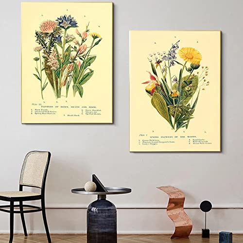 Vintage Art Plant Canvas Painting Science and Education Posters and Prints Wall Art Pictures for Living Room Wall Decor19.6"x 27.5"(50x70cm)x2 No frame von Dittelle