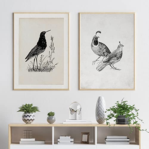 Vintage Bird Oil Paintings On Posters Wall Decoration Canvas Print Neutral Farmhouse Antique Sketch Gallery Wall Picture Decor 60x80cm-2Pieces Frameless von Dittelle
