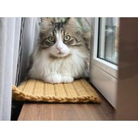 Gelbe Fensterbank-Katzendecke, Katzenfenster-Decke, Niedliches Rosa Fensterkatzen-Haarbett, Neues Katzenhaustier-Geburtstagsgeschenk von DivaDessiva