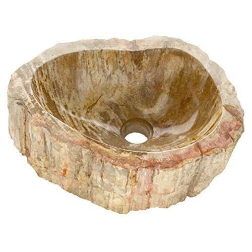 Aufsatz - Waschbecken versteinertes Holz Waschschale Handwaschbecken Fossil bis 50 cm innen poliert außen naturbelassen Aufsatz - Waschbecken versteinertes Holz Waschschale Handwaschbecken Fossil bis 50 cm innen poliert außen naturbelassen von Divero